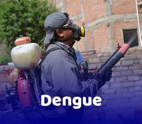 Dengue Zika y Chikungunya