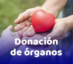 Donación de Órganos - CETRA
